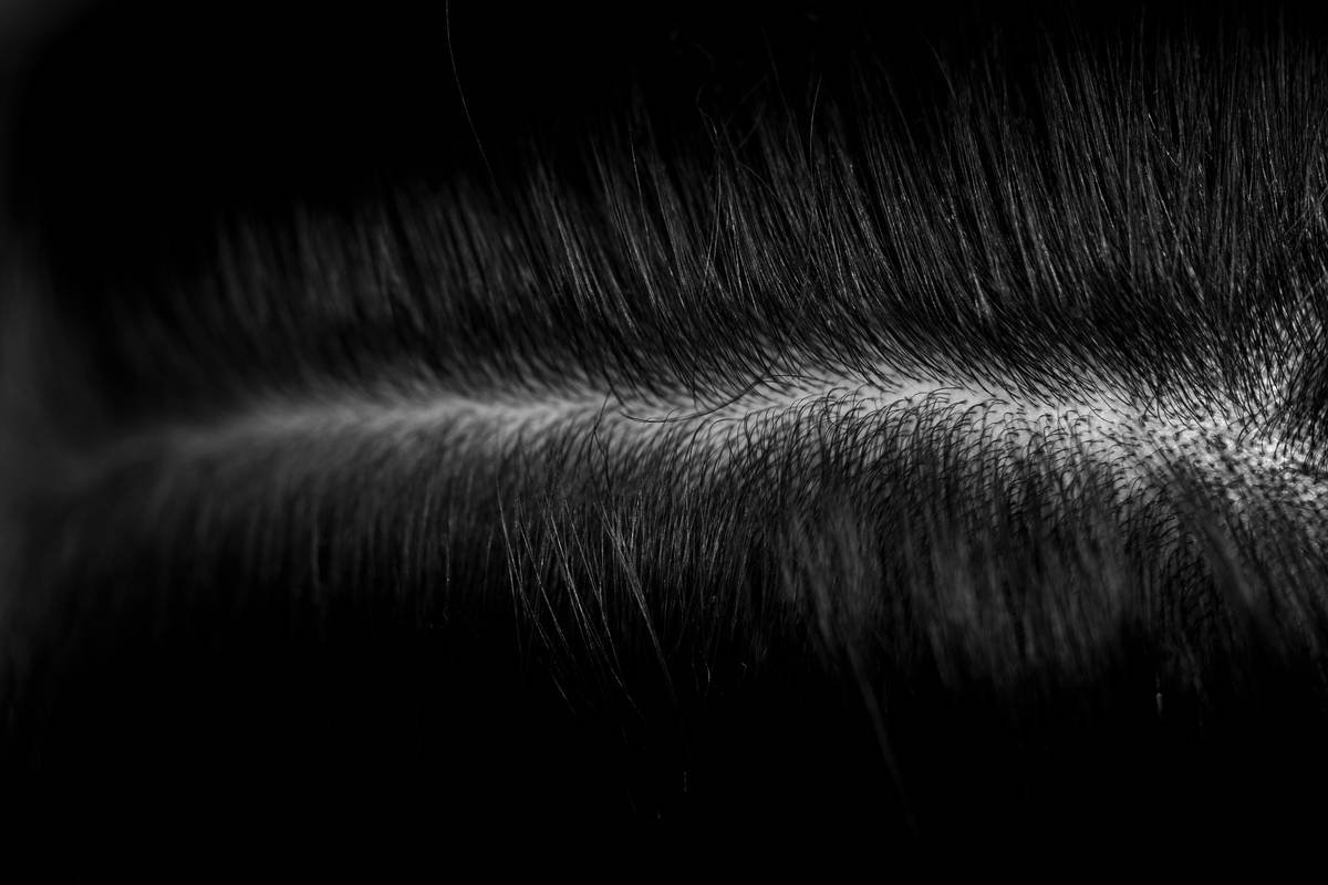 Diagram showing three lowlight hair patterns: weave-and-release (vertical slices), halo (around face perimeter), and babylight clusters (fine, dense groupings) with arrows indicating light direction and shadow effect